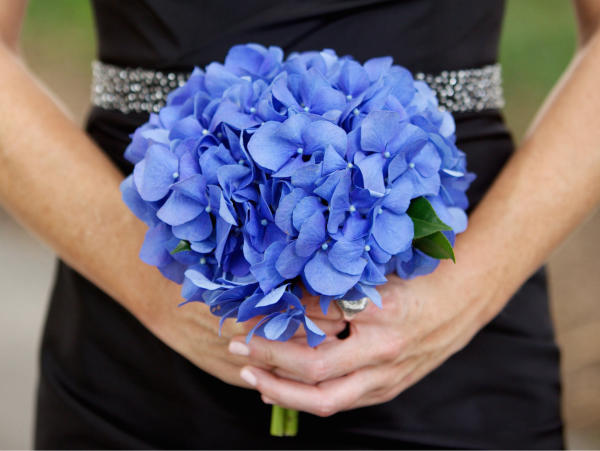 Hoa cưới cẩm tú cầu xanh đơn giản